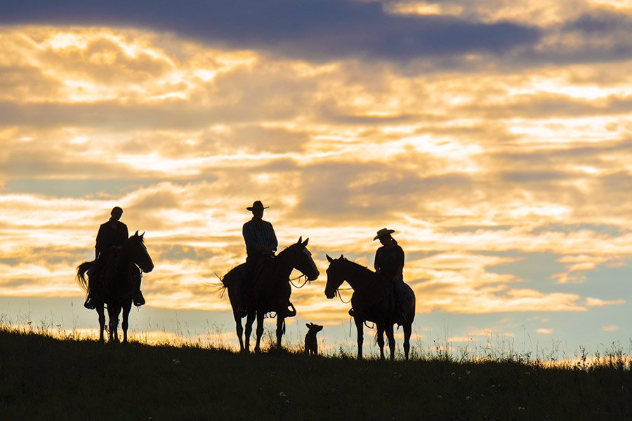 Three horseback riders silhouetted against a cloudy sky at sunset - photo ©envirophoto